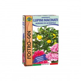 LUPINO MACINATO 800G